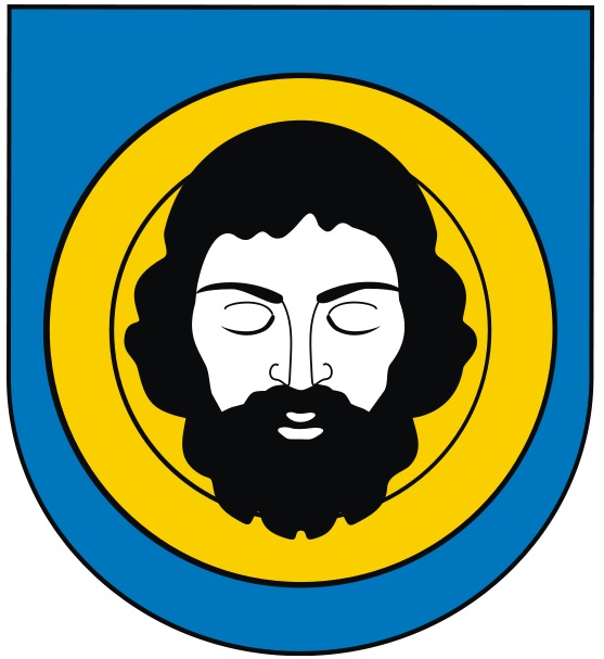 Herb miasta Brzozów przedstawia w błękitnym polu ściętą głowę św. Jana Chrzciciela na złotej misie