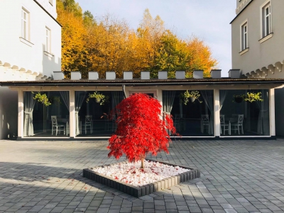 Teren Basztogrodu, zdjęcie wykonane z placu na środku widać drzewko z liśćmi koloru czerwonego w tle sala restauracyjna, widać krzesła przez przeszklenia, po lewej i prawej wierze. W tle drzewa z żółtymi liścmi.